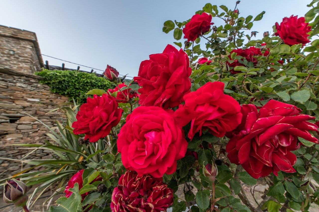 Villa Ghisi Arnados 외부 사진